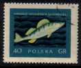 POLAND   Scott #  810  VF USED - Usati