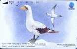 # INDONESIA S125 Gangsa Batu Bertopeng ? Masked Booby 60 Tamura 01.93  -birds,oiseaux-  Tres Bon Etat - Indonesia