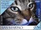 REPUBBLICA DI SAN MARINO - ANNO 2009 - CONCORSO: FOTOGRAFA IL TUO ANIMALE DOMESTICO - NUOVI ** MNH - Neufs
