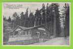 NEUSTADT BEI COBURG - SCHUTZHÜTTE MIT AUSSICHSTURM - Carte Vierge - Coburg