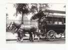 PARIS 1900 -  Le MADELEINE BASTILLE  - N° 32   - Carte Moderne Glacée - Public Transport (surface)