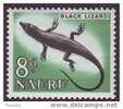 NAURU - Black Lizard, Reptiles - Nauru