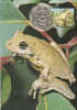 Australia-1999 Small Pond 45c Roth´s Tree Frog   Maximum Card - Ranas