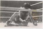 PHOTO BOXE - FREDDIE MILLS - Autres & Non Classés