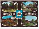 67.126/ Souvenir De HAGUENAU (cpsm ) - Haguenau