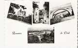 CERET 66 Le Chateau Bardou Job Les Trois Ponts Vue Générale Editions Collection J Pierre Carte Dentelée Véritable Photo - Ceret