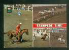 CPSM - MORRIS  Manitoba Canada - Stampede Time -  Multivues Rodéo Course Hippique Taureau Cow-boy Far-west - Horse Show
