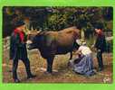 VILLEFRANCHE DE ROUERGUE GROUPE FOLKLORIQUE LA RESPELIDO TRAITE D UNE VACHE CARTE EN BON ETAT - Villefranche De Rouergue