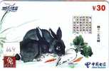 LAPIN Rabbit KONIJN Kaninchen Conejo (684) Zodiaque Zodiac Horoscope - Conigli