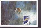 FRANCE CARTE MAXIMUM  NUM.YVERT 3460 SPORT JEUX OLYMPIQUES SNOWBOARD - 2000-2009