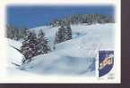 FRANCE CARTE MAXIMUM  NUM.YVERT 3460 SPORT JEUX OLYMPIQUES SNOWBOARD - 2000-2009