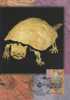 Australia- 1997 Wildlife Of Ancient Australia,45c Horned Turtle   Maximum Card - Fossilien