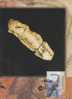 Australia- 1997 Wildlife Of Ancient Australia,45c Marine Reptile  Maximum Card - Fossielen
