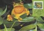 Australia-2003 Rainforest,50c  Orange-thighed Tree Frog   Maximum Card - Ranas