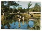 Vermenton (89) : Baignade Dans La Rivière Du Parc, Jeux D'enfant Au Loin,  Environ 1960 (animée). - Vermenton