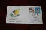 REPUBLIC OF CYPRUS CHYPRE  KIBIRIS MARCOPHILIE LETTRE EUROPA 1995 OFFICIAL FIRST DAY COVER FDC 1ER JOUR D' EMISSION TIMH - Autres & Non Classés