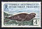 TAAF N° 13 B Neuf Avec Charnière * - Unused Stamps