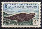 TAAF N° 13 B Neuf Avec Charnière * - Unused Stamps