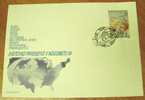 1994 SLOVENIA FDC FIFA WORLD CUP USA SOCCER FOOTBALL FUSSBALL - 1994 – Stati Uniti