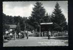 V0744 CARTOLINA ILLUSTRATA CALABRIA CATANZARO VILLAGGIO MANCUSO SILA ALTA FG. NV. - Catanzaro