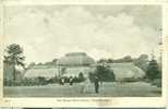 Kew Gardens - The Great Palm House - Surrey