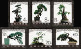 1981 CHINA T61 BONSAI 6V MNH - Nuevos