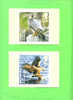 PHQ302 2007 Birds - Set Of 10 Mint - Tarjetas PHQ
