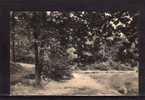 95 ST LEU Foret, Etang, Ed ELD 22, 191? - Saint Leu La Foret