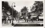 CAVAILLON 84 Vaucluse Le Boulevard Gambetta Editions CAP Véritable Photo - Cavaillon