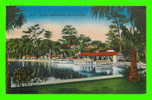 OCALA, FL. - SILVER SPRINGS - HARTMAN CARD CO - - Ocala