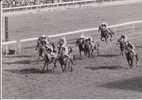HIPPISME TONG YEN  PRIX DE LA REINE MARGUERITE 1967  VERITABLE PHOTO DE PRESSE 18X12.5 BEL ETAT VOIR SCAN - Horse Show
