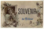 D158 -  Souvenir De Tilleur - Saint-Nicolas