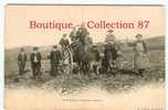 87 - EYMOUTIERS - ATTELAGE De BOEUFS - AGRICULTURE  RAMASSAGES De POTIRONS - CPA 1900 RARE & INEDITE - DOS VISIBLE - Eymoutiers