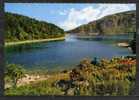 ORBEY . LE LAC BLANC . Voir Recto - Verso    (G133) - Orbey