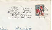 1967 France 06 Alpes Maritimes Juan Les Pins Hiver Rosa Rose Roses Flowers Fiori Fleurs - Roses