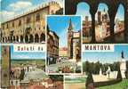 MANTOVA - SALUTI - VEDUTINE - 1970 - Mantova