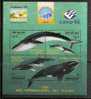 WHALES - URUGUAY - 1998  Souvenir Sheet - MINT (NH) - Wale