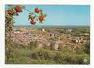 MOISSAC -  Vue Générale - N°  82  MO 1016 - Moissac