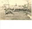 ANTICA CARTOLINA VIAG  1906 - Paardensport