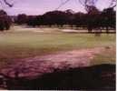 1 X World Golf Course Postcard - 1 Carte Postale De Terrain De Golf Du Monde - Australia - Fairlight Golf - Golf