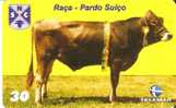 TARJETA DE BRASIL DE UNA VACA (COW-VACA) (6-10) - Cows