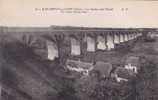 CHER.SAINT FLORENT.VUE DU VIADUC COTE OUEST   TRAIN SUR LE VIADUC - Saint-Florent-sur-Cher