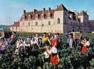 CLOS DE VOUGEOT VENDANGES EN BOURGOGNE 1970 THEME VIN - Nuits Saint Georges