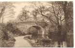 Ash Vale Mytchett Bridge Frith N° 53280 C 1917 - Surrey