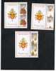 VATICANO - UNIF.1382.1384 - 2005  INIZIO DEL PONTIFICATO DI BENEDETTO XVI  - NUOVI (MINT) ** - Unused Stamps