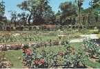MARSEILLE : Parc Borely La Roseraie ( Rose Roses Rosiers ) - Parcs Et Jardins