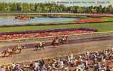 Hialeah FL - Horse Race - 1950´s - Curteich Original Linen C.103 - Mint Never Used - Animated - Paardensport