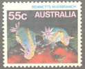 Australia 1984 Marine Life 55c Nudibranch MNH - Ongebruikt