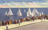 St. Petersburg Florida - Sailboat Races - 40-50´s - Original Tichnor Linen P-105 - Mint Impeccable - St Petersburg