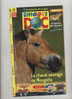 Revue Image Document 2005 Theme Champignon Cheval - Andere & Zonder Classificatie